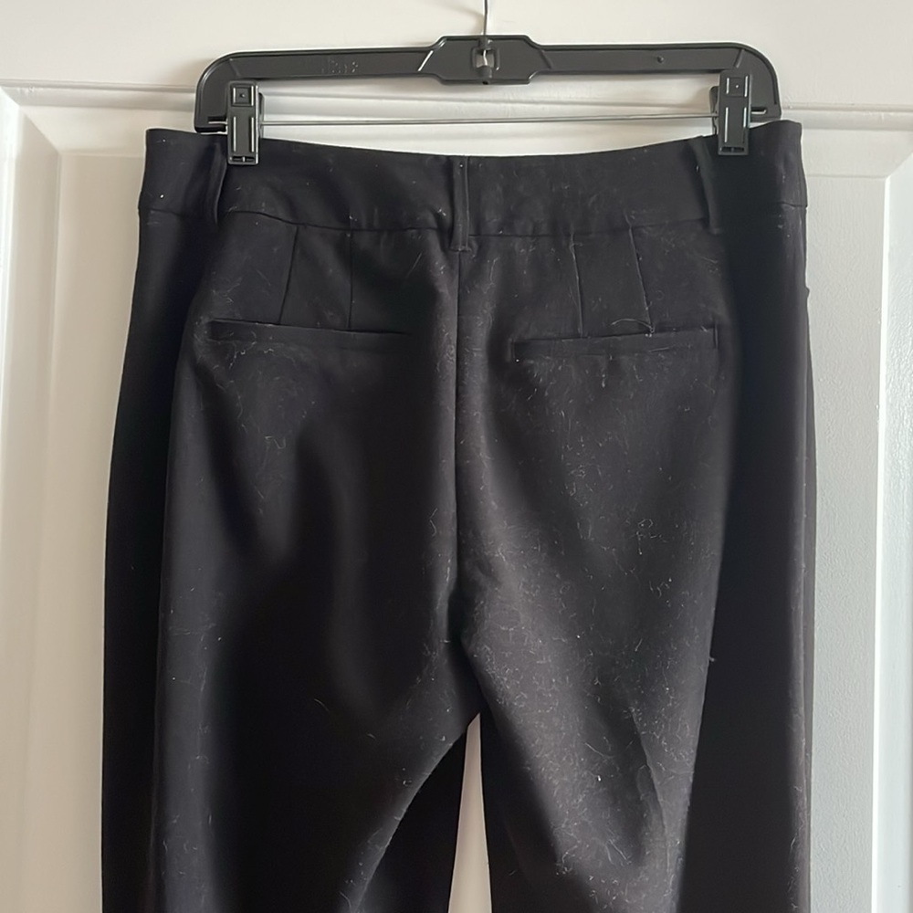 WHBM Bootcut Slacks - Picture 4 of 7